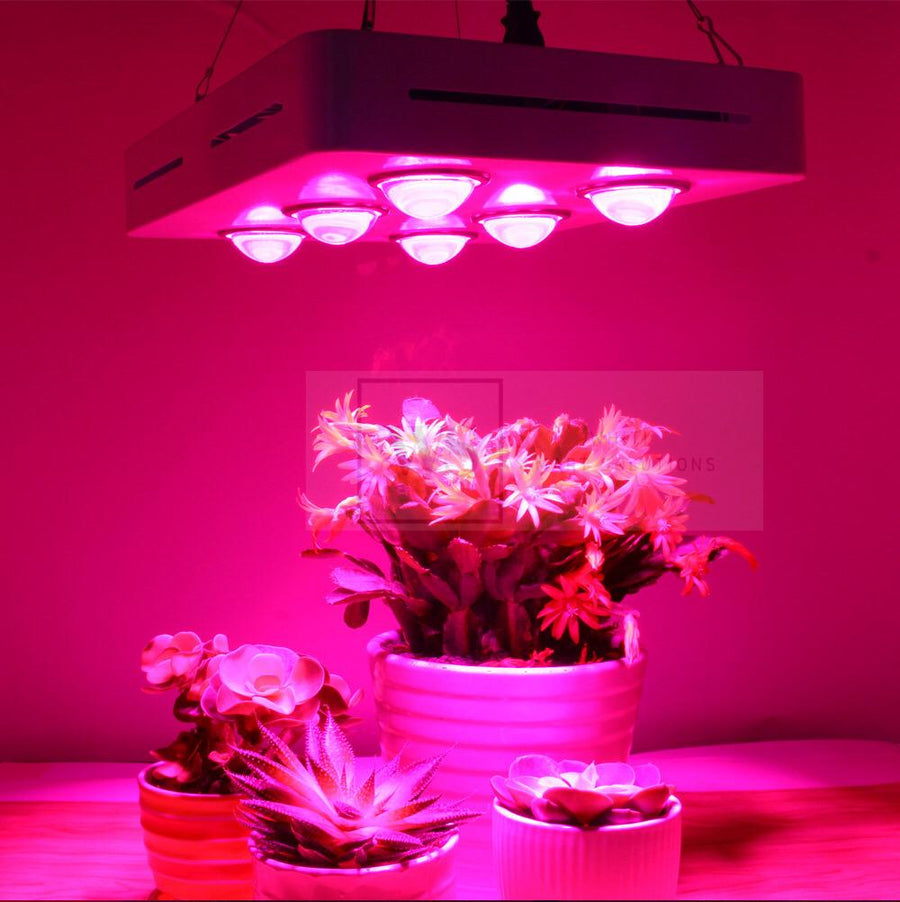 CFS-900W Hydroponic LED Grow Light Standard Control LED Lights Whiti Smart Solutions 