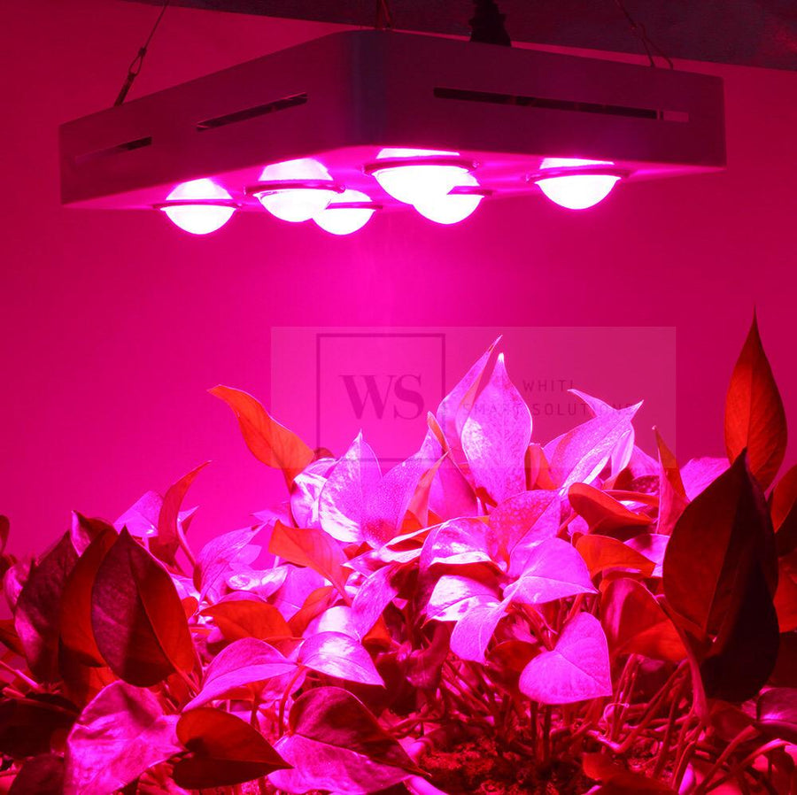 CFS-900W Hydroponic LED Grow Light Standard Control LED Lights Whiti Smart Solutions 