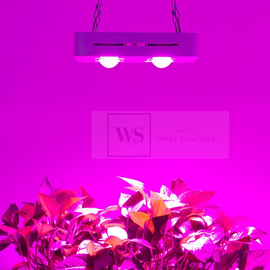 CFWC-300W Hydroponic LED Grow Light Wifi Control LED Lights Whiti Smart Solutions 
