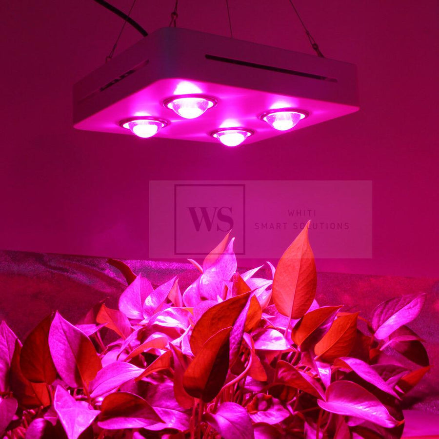 CFWC-600W Hydroponic LED Grow Light Wifi Control LED Lights Whiti Smart Solutions 